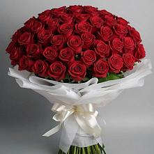 Букет 101 Красная роза Блэк Мэджик в Ставропольском