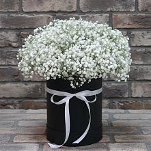 Цветочная композиция из Гипсофила в шляпной коробке в Ставропольском