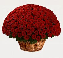 Премиум букет из: Розы в Ставропольском