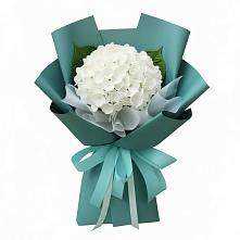 Букет цветов из:  Гортензия в Ставропольском
